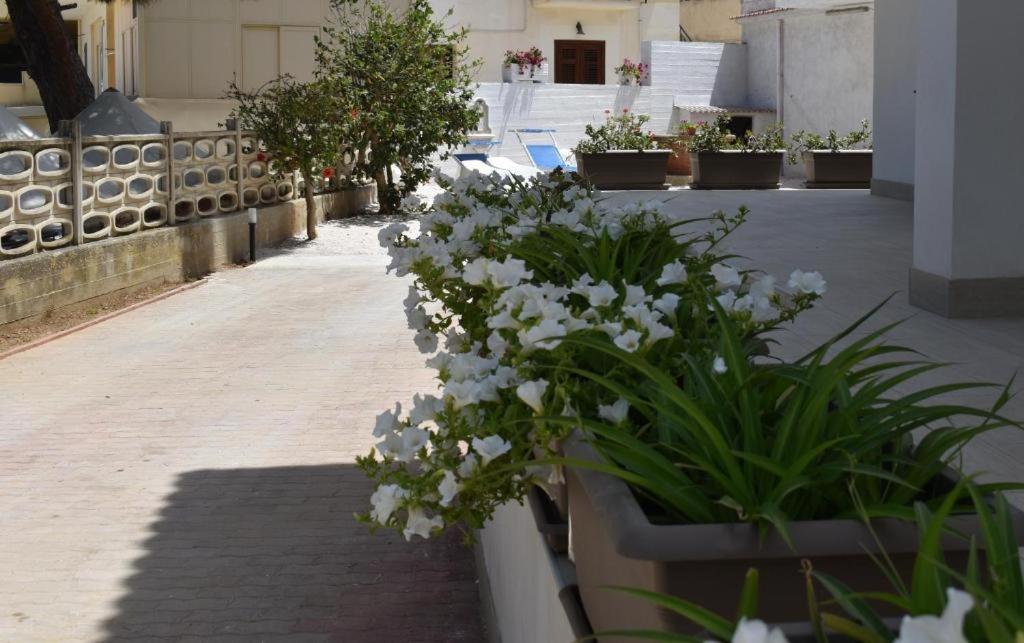 B&B Lastracu Castellammare del Golfo Exterior photo
