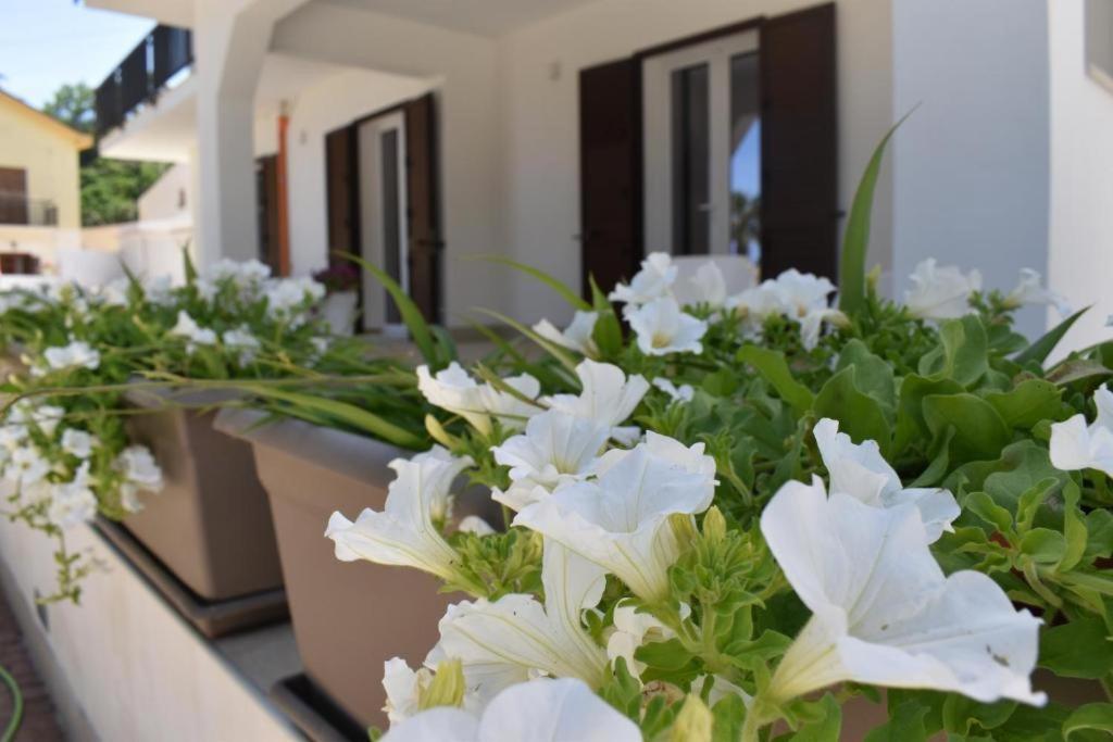 B&B Lastracu Castellammare del Golfo Exterior photo